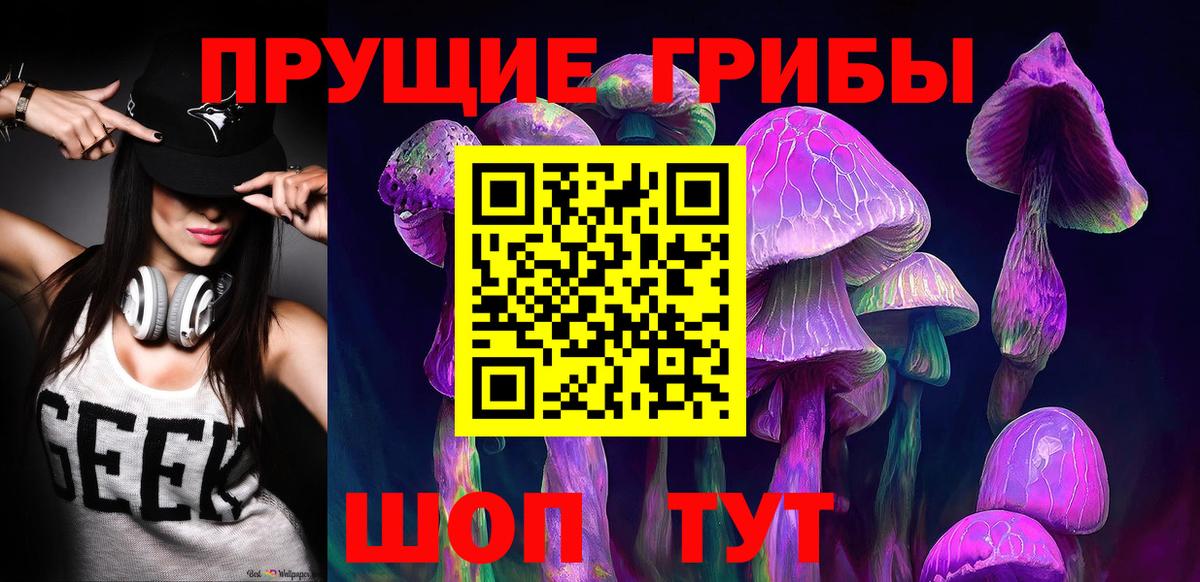 Псилоцибиновые грибы GOLDEN TEACHER Тавда