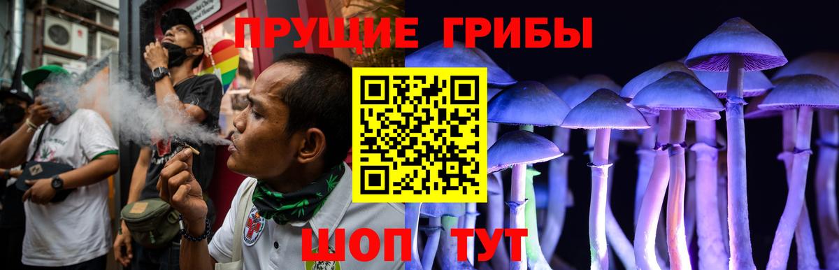 Псилоцибиновые грибы Magic Shrooms  магазин продажи наркотиков  Тавда  Псилоцибиновые грибы Cubensis  Вход с VPN 